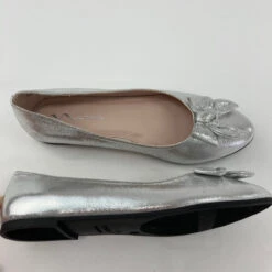 Nina Zulema Silver Shimmer Flats 5M