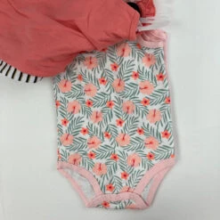 Hudson Baby 5 Sleeveless Bodysuits 3-6 Mth -Children Fashion Clothing IMG 6590 75184.1613756302